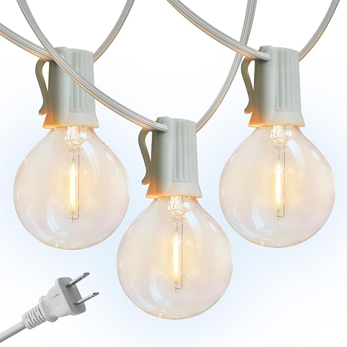 Brightech Ambience Pro LED String Lights - 26 Ft Commercial Grade Patio Lights Outdoor Waterproof - 12 Globe Porch String Lights for Outside, Backyard - 1W Vintage Edison Bulbs, Shine Bright, White
