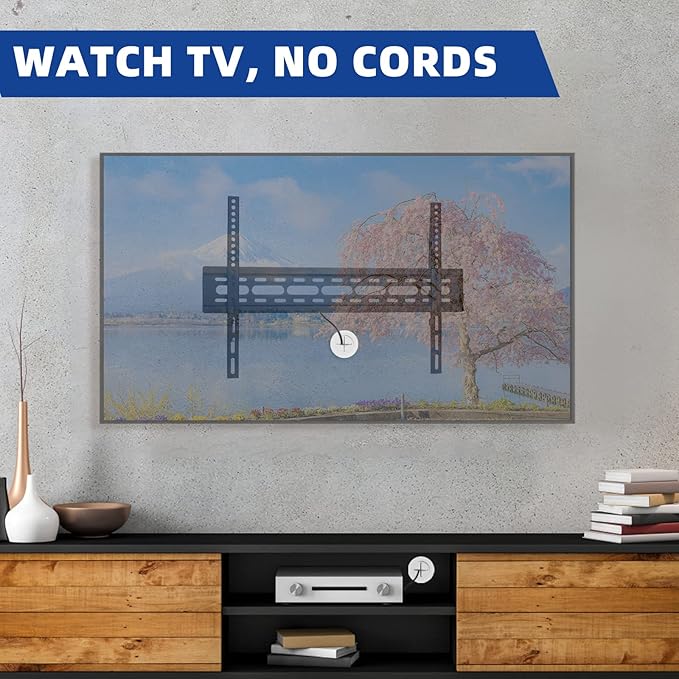 TV Wire Hider Kit for Wall Mount TV, White in Wall Cable Management Kit, Includes 2-3/8"(60mm Hole) 2 Pass Throughs and Hole Saw Drill Attachment for Easy Install(Black) (RO-YCX-2P-BK)