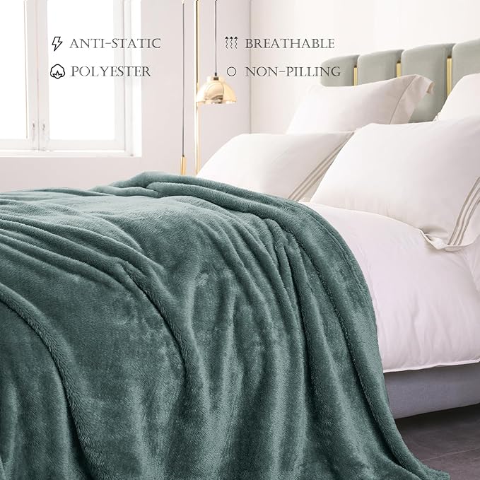 Exclusivo Mezcla Plush Fuzzy Fleece Bed Blanket Twin Size, Super Soft, Fluffy and Warm Blankets, Suitable for All Seasons (Celadon, 90x66 Inches)