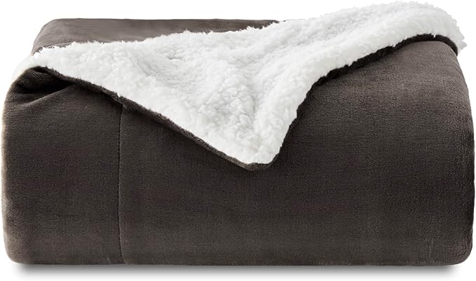 Bedsure GentleSoft Sherpa Fleece Throw Blanket Twin Size for Couch - Thick and Warm Throw for Women and Men, Soft Fuzzy Plush Twin Blanket for Winter, Brown, 60x80 Inches