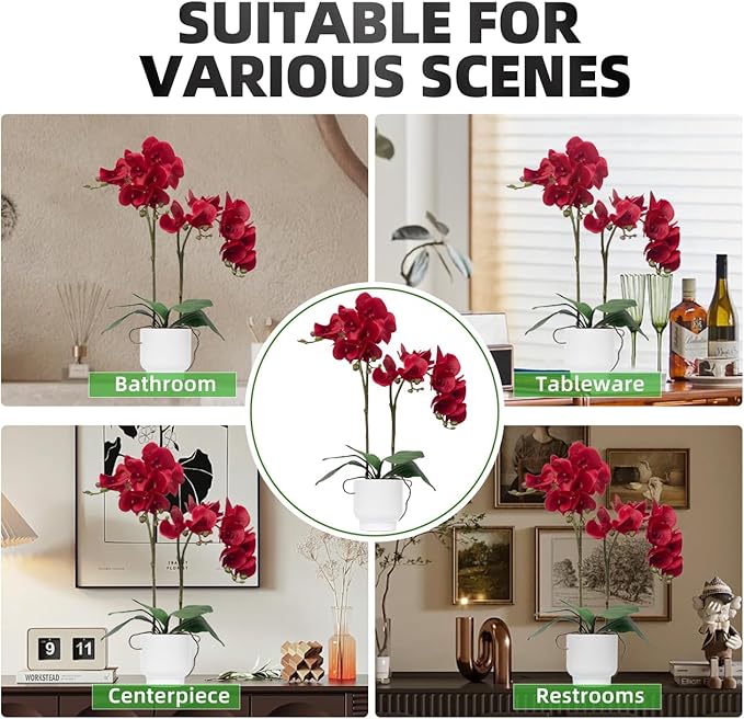 CXGS Orchids Artificial Flowers Real Touch Fake Flowers in Ceramic Pot 20" Red Faux Orchid Plant Lifelike Silk Phalaenopsis for Centerpiece Hotel Home Indoor Decor