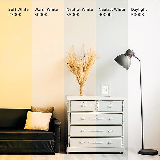 Amazon Basics LED Light Bulbs, Energy Efficient 6W, 40 Watt Equivalent, E26 Standard Base, 2700, Dimmable, 10,000 Hour, Soft White, 6 Count