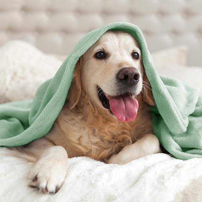 BEDELITE Fleece Blankets Queen Size Mint Green Throw Blankets for Bed, Luxury Plush Cozy Fuzzy Blanket 90x90 inches, Super Soft Warm Lightweight Throw Blanket All Seasons Suitable