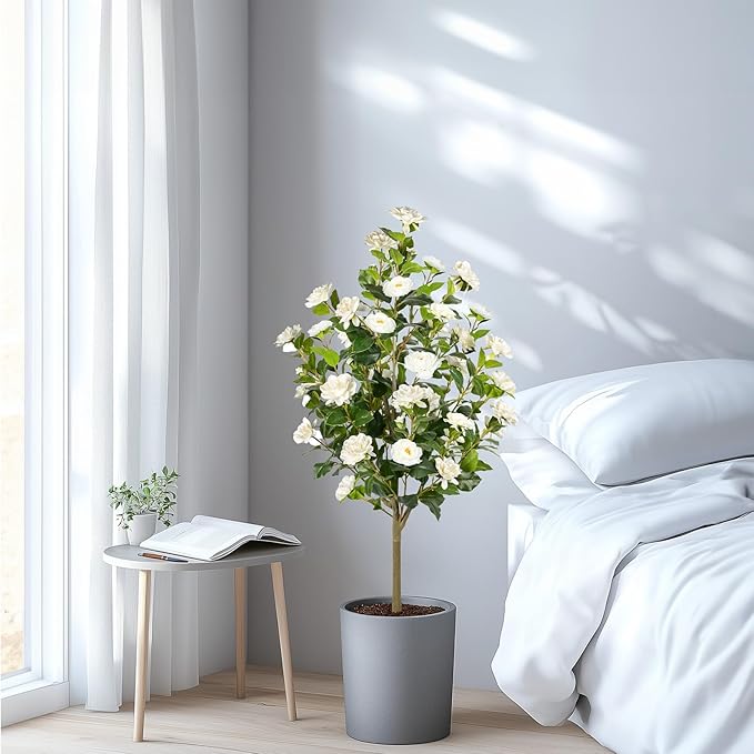 Artificial Camellia Tree 2 Pack, Artificial Plants Outdoor Faux Floral Plant in Cement Pot Fake Silk Camellia Tree Plants for Home House Living Room Office Decor