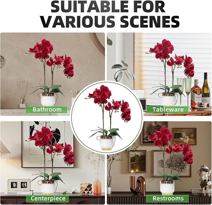 CXGS Orchids Artificial Flowers Real Touch Fake Flowers in Ceramic Pot 20" Red Faux Orchid Plant Lifelike Silk Phalaenopsis for Centerpiece Hotel Home Indoor Decor