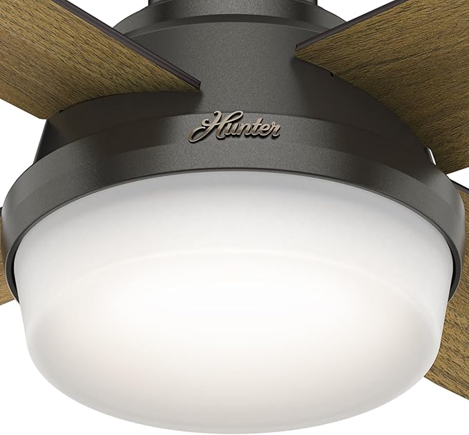 Hunter 52 inch Indoor Ceiling Fan with LED Light and Remote Control - Bronze Modern Ceiling Fan, Low Profile Mount, 4 Blades, For Bedroom, Living Room, or Kitchen, Quiet - Dempsey 59447, Noble Bronze