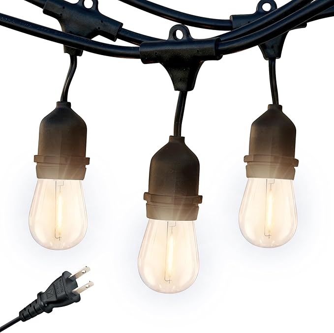 Brightech Ambience Pro LED String Lights - 48 Ft Commercial Grade Patio Lights Outdoor Waterproof - Heavy Duty Porch String Lights for Backyard, Christmas - Dimmable Vintage Edison 1W 15 Bulbs,