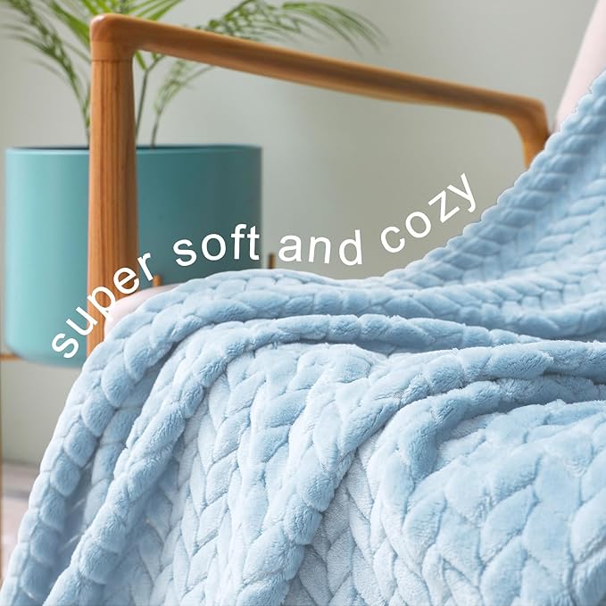 Exclusivo Mezcla Fleece Queen Size Blanket for Bed, 90x90 Inches Soft Cozy Jacquard Flannel Blankets, Lightweight Fuzzy Plush Warm for Winter, Light Blue