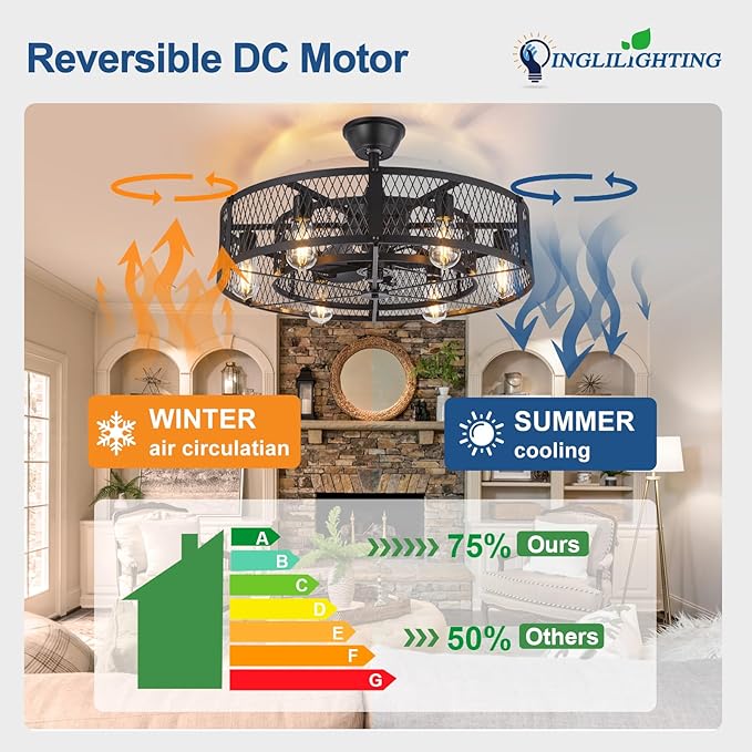DLLT Caged Ceiling Fan with Lights: 26" Bladeless Fandelier with Light and Remote - Black Industrial Chandelier Fan Light for Bedroon Living Dining Room Kitchen