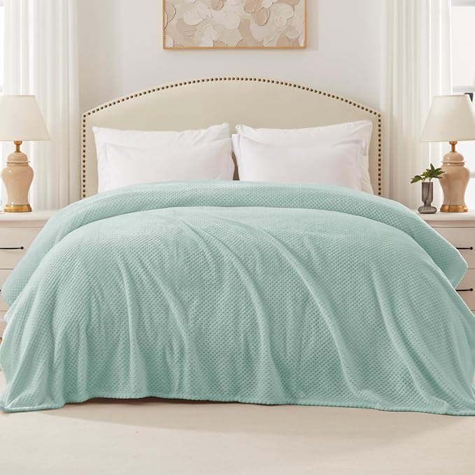 Exclusivo Mezcla Fleece Bed Blanket Twin Size, Super Soft and Warm Blankets for Couch, Sofa and Bed Waffle Textured, Cozy, Fuzzy and Lightweight (Mint Green, 60x80 inches)