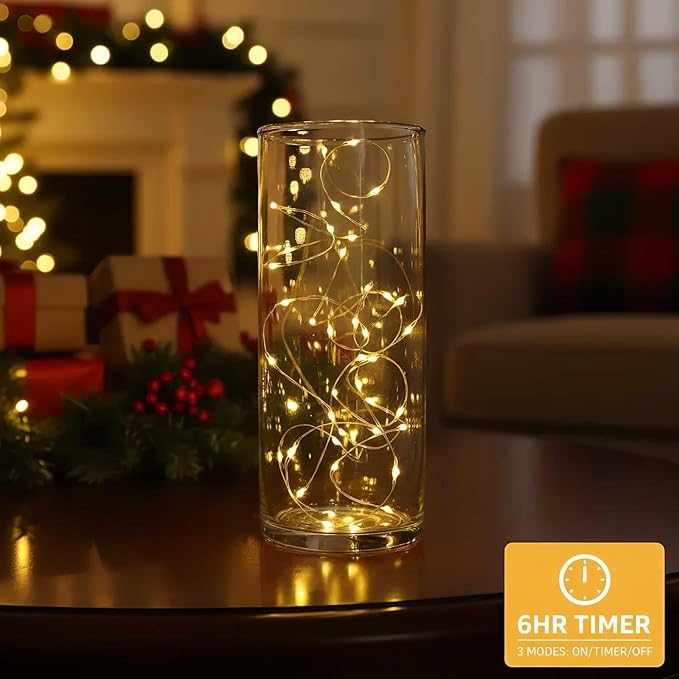 QBIS Warm White Fairy Lights Battery Operated with Timer Mode, 40 Micro LEDs for Mason Jars, 6.5ft, Silver Wire Lights Indoor Use (Warm White) - 2 Pack