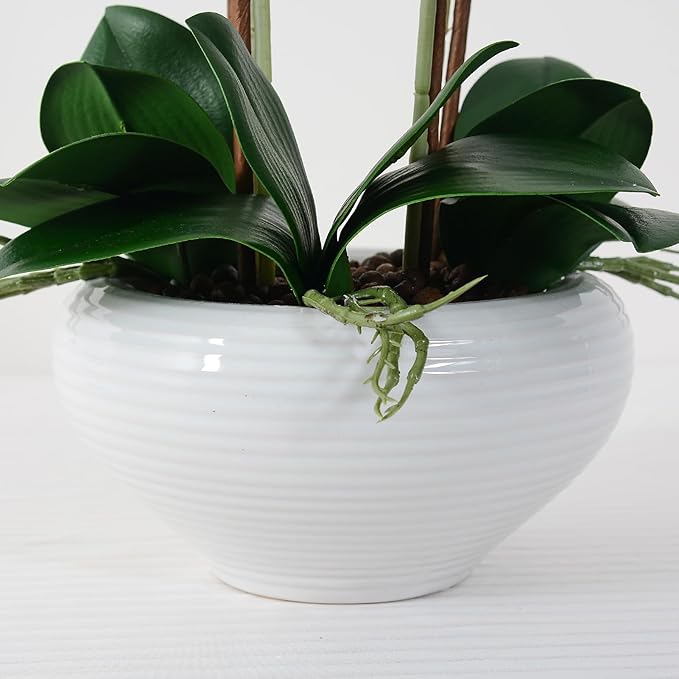 Ziwon Artificial Orchid Flowers Potted in Ceramic Pot, White Faux Phalaenopsis Orchids for Table Centerpiece, Realistic Fake Flower in vase for Home Office Decor Indoor