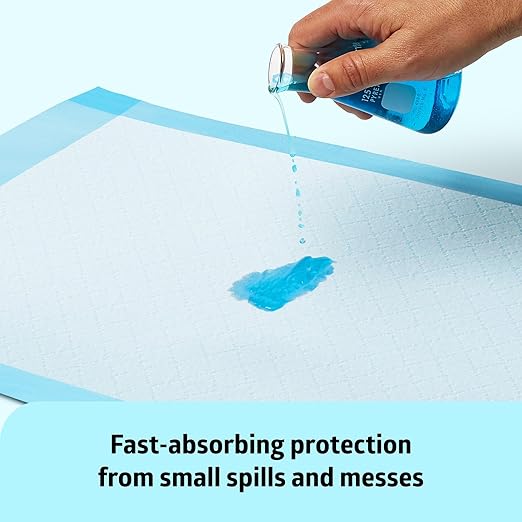 Medline Chucks Pads, Disposable Changing Pads for Baby, 17x24, 100 Count, Chucks Pads, Pee Pads, Disposable Underpads for Incontinence, Diaper Pads, Pee Pads for Babies