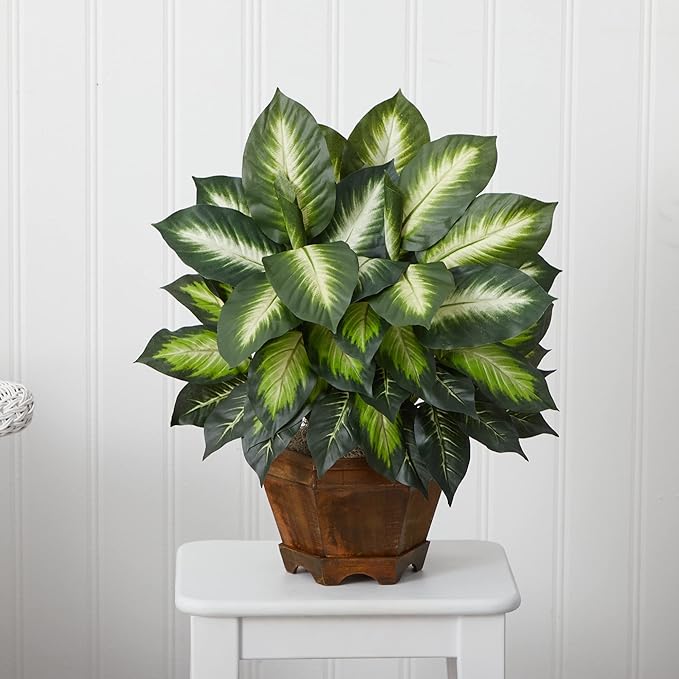Nearly Natural 22IN Artificial Triple Golden Dieffenbachia Plant with Decorative Wood Planter, Faux Plant for Indoor Home Décor