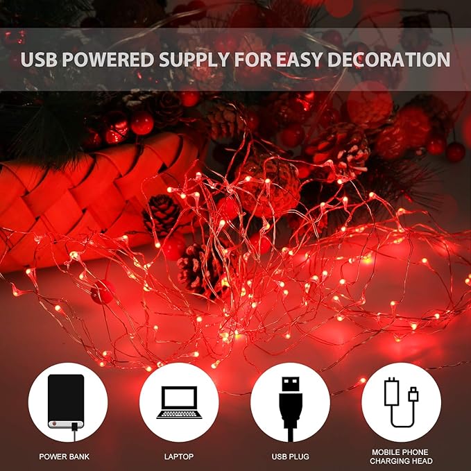 USB Powered Fairy Lights, 100 led 33 ft. USB Plug in Copper Wire USB String Lights for Bedroom Christmas Decoration Wedding Party Firefly Lights (Red,1 Pack)