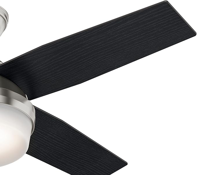 Hunter 44 inch Indoor Ceiling Fan with LED Light and Remote Control - Modern Ceiling Fan, Standard Mount, 4 Blades, For Bedroom, Living Room, or Kitchen, Quiet - Dempsey 59245, Brushed Nickel