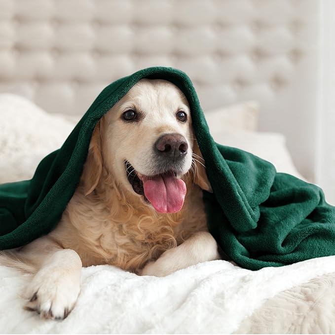 BEDELITE Fleece Blanket King Size Blankets for Bed, Luxury Plush Cozy Fuzzy Blanket 108x90 inches, Super Soft Warm Lightweight Throw Blanket All Seasons Suitable, Forest Green