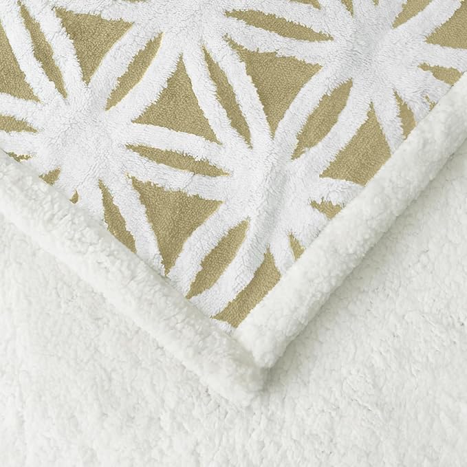 LOMAO Sherpa Fleece Blanket Fuzzy Soft Throw Blanket Dual Sided Blanket for Couch Sofa Bed (Fruit Green, 60''x80'')