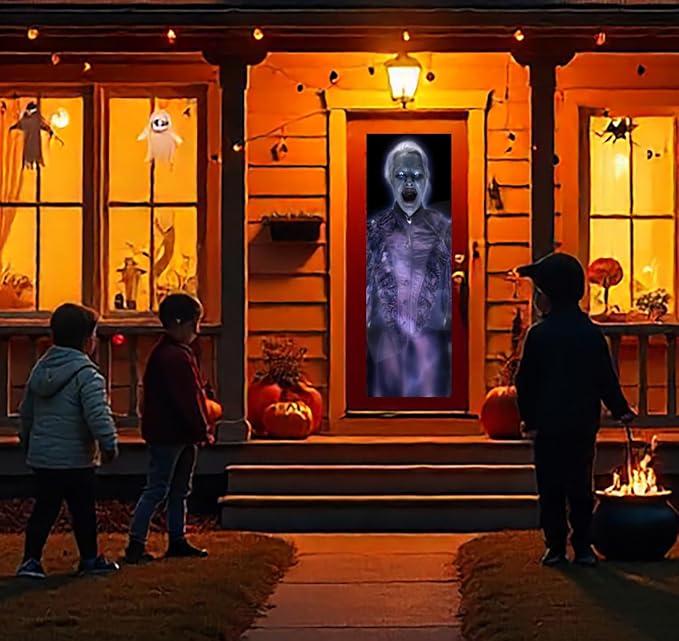36" x 80" Gray Door Holographic Rear Projection Screen with Mounting Hardware for Projecting Halloween Videos