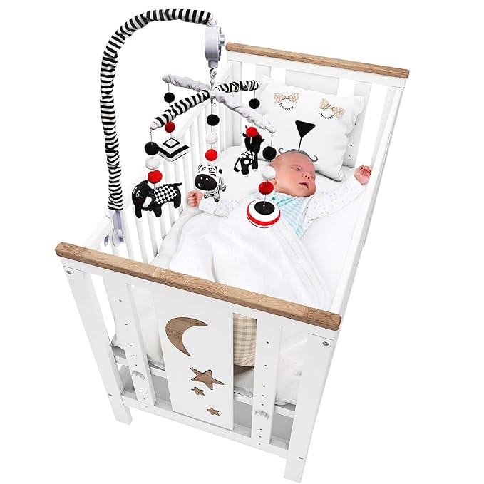 teytoy My First Baby Crib Mobile, Black and White Baby Mobile for Crib, High Contrast Mobile Toy for Newborn Infants Boys and Girls