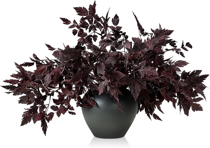 Lyrow 10 Pack Artificial Cimicifuga Plant Leaf Spray Faux Plum Cimicifuga Ramosa Leaf Branch Faux Fall Spray Silk Plants for Home Vase Wedding Garden Farmhouse Table Mantel Decor (18 Inches)