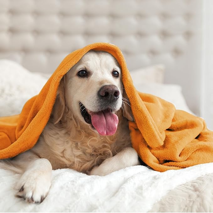 BEDELITE Fleece Blanket Twin Size Burnt Orange Throw Blankets for Couch & Bed, 300GSM Luxury Plush Cozy Fuzzy Fall Blanket 60x80 inches, Super Soft & Warm Blankets for Travel Camping