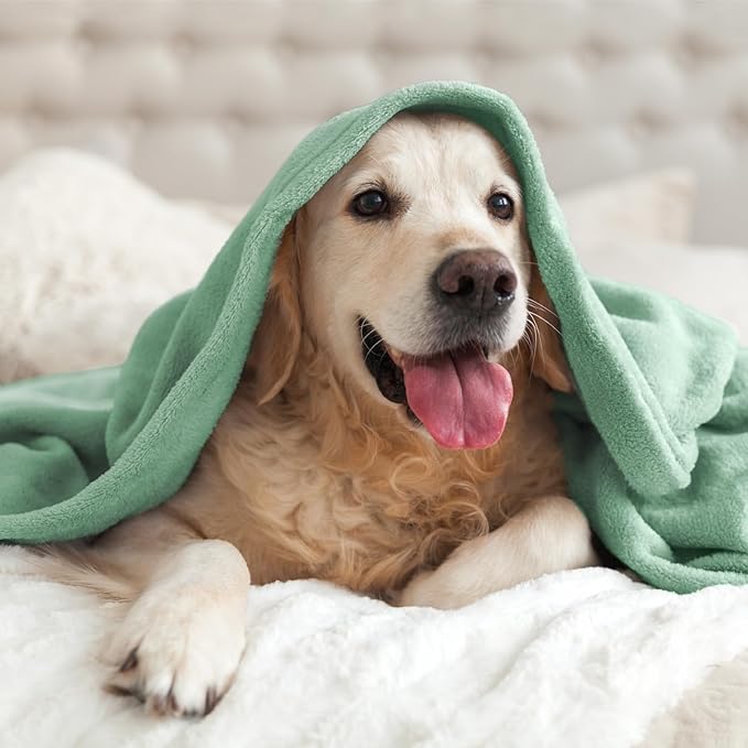 BEDELITE Fleece Blanket Twin Size Dusty Green Throw Blankets for Couch & Bed, Luxury Plush Cozy Fuzzy Blanket 60x80 inches, Super Soft Warm Lightweight Throw Blanket for Travel Camping