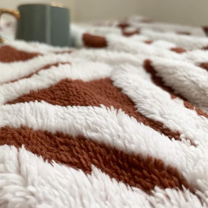 LOMAO Sherpa Fleece Blanket Fuzzy Soft Throw Blanket Dual Sided Blanket for Couch Sofa Bed (Brown, 60''x80'')