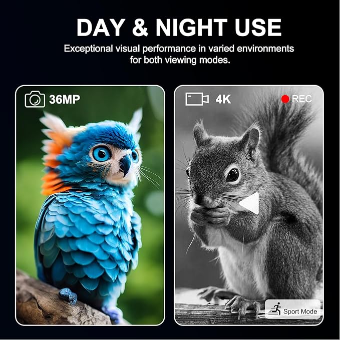 Night Vision Goggles, True 4K Full-Color Night Vision Binoculars, Built-in Powerful Focusable IR, 6000mAh Rechargeable Battery, Super Large Display, Long Viewing Range, Free 64GB Card (Silver)