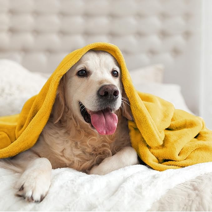 BEDELITE Fleece Blankets Queen Size Yellow Throw Blankets for Bed, Luxury Plush Cozy Fuzzy Blanket 90x90 inches, Super Soft Warm Lightweight Throw Blanket All Seasons Suitable