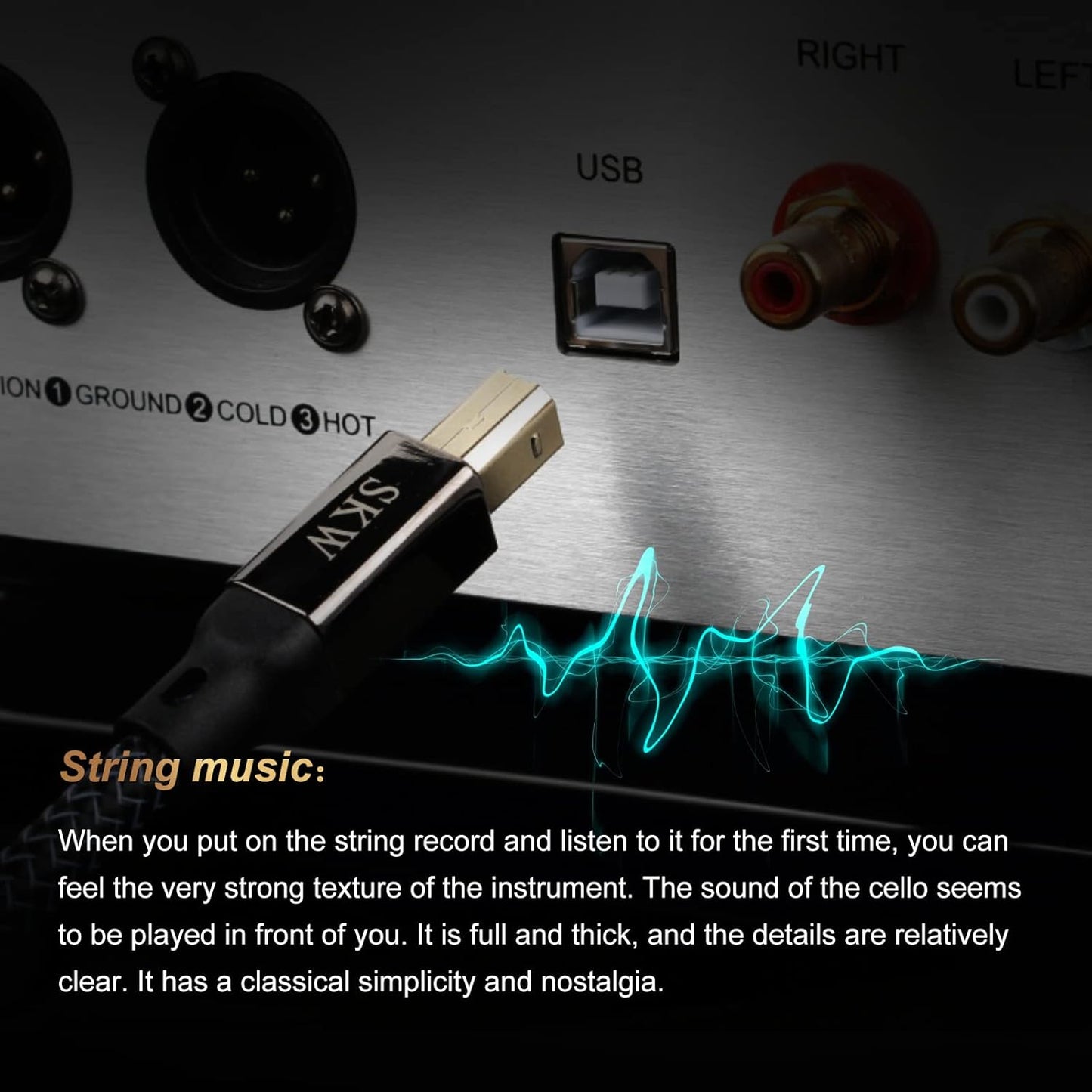 2.0 3.2ft(1m) SKW Audiophiles USB DAC Audio Cable USB Type A to USB Type B Printer Cable for Computer to DAC, Sound