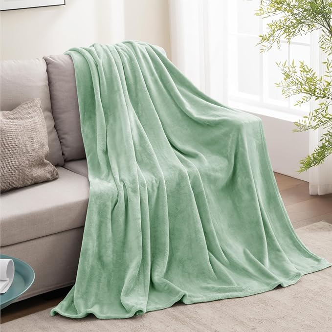 BEDELITE Fleece Blankets Queen Size Mint Green Throw Blankets for Bed, Luxury Plush Cozy Fuzzy Blanket 90x90 inches, Super Soft Warm Lightweight Throw Blanket All Seasons Suitable