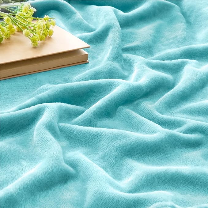 BEDELITE Fleece Blanket Twin Size Light Blue Throw Blankets for Couch & Bed, Luxury Plush Cozy Fuzzy Blanket 60x80 inches, Super Soft Warm Lightweight Throw Blanket for Travel Camping