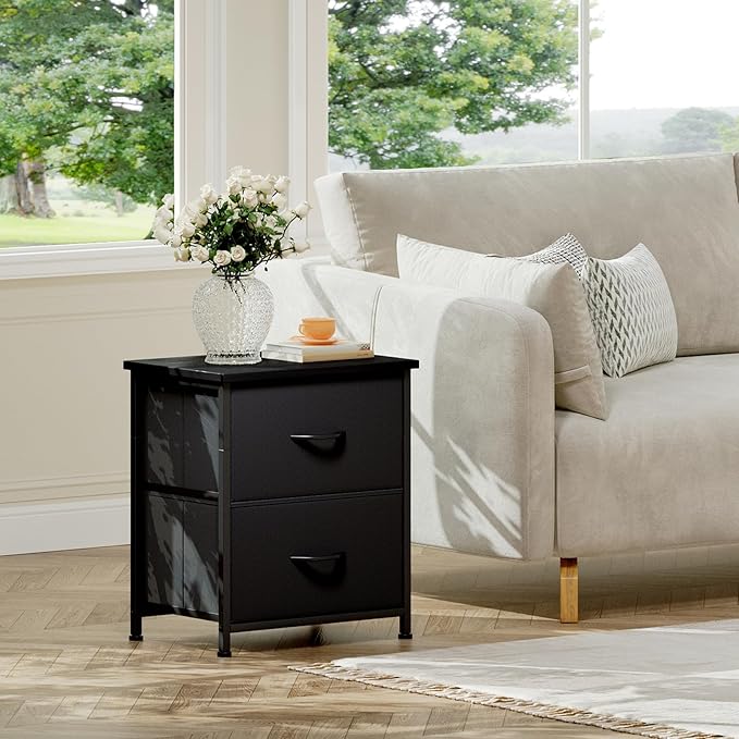 Somdot Nightstand, Small Dresser for Bedroom with 2 Drawers, Bedside Table Night Stand End Table with Fabric Bins for Bedroom Kids Closet Dorm Guest Room, Black