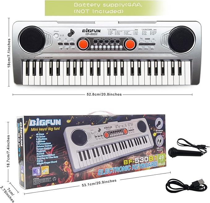 Raimy Piano Keyboard for Kids 49 Keys Portable Keyboard Piano Early Learning Educational Electronic Musical Instrument Toys Gifts for 3 4 5 6 7 8 9 Year Old Boys and Girls (Silver)
