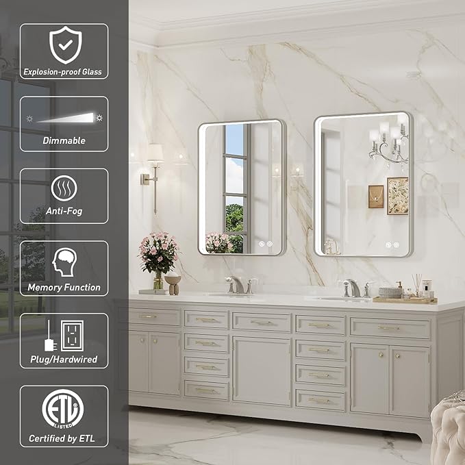 LED Bathroom Mirror with Lights,20x28 Inch Brushed Silver Framed Lighted Vanity Mirror,Anti Fog Stepless Dimmable Wall Mounted(Horizontal/Vertical)