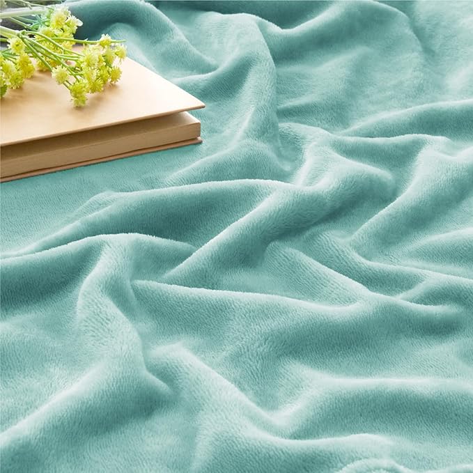 BEDELITE Fleece Blanket Haze Blue Throw Blankets for Couch & Bed, Luxury Plush Cozy Fuzzy Blanket 50" x 60", Super Soft Warm Lightweight Throw Blanket for Travel Camping