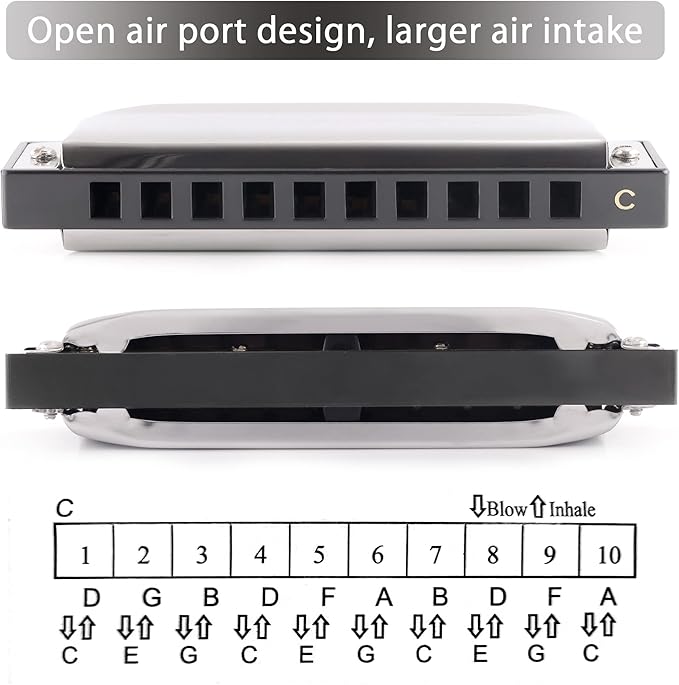 SWAN Blues Harmonica C Key for Kids Adults, 10 Hole Diatonic Harmonica Key of C, Metal Blues Harp for Beginners Students, Mouth Organ in Case, Silver
