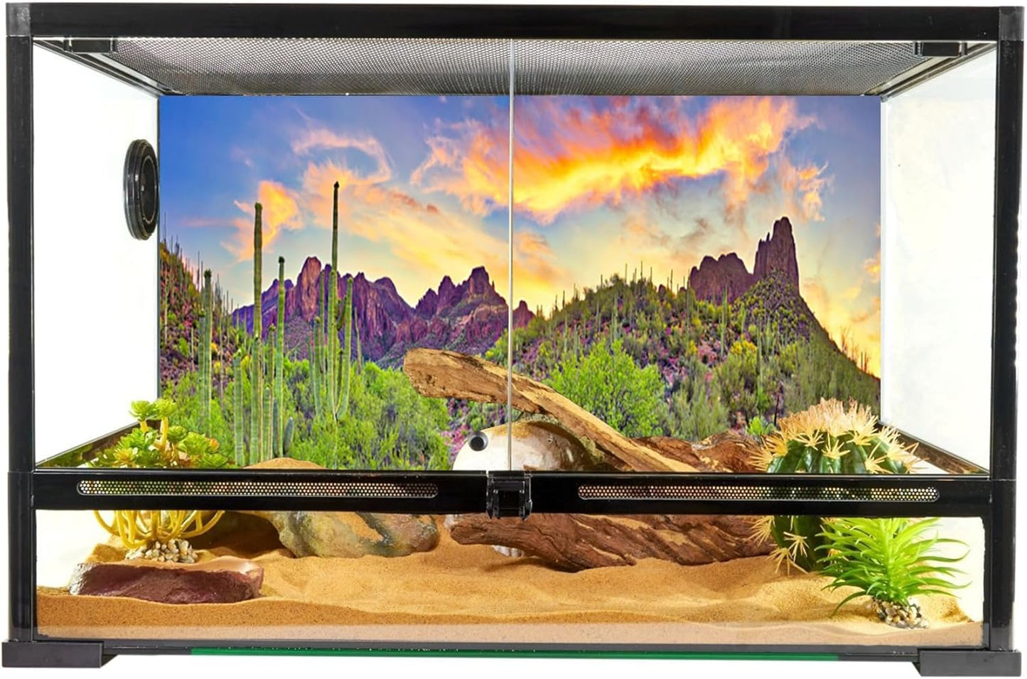YongFoto Polyester Desert View Cactus Photo Backdrop: 72x18 inches Natural Landscape Photography Background for Reptile