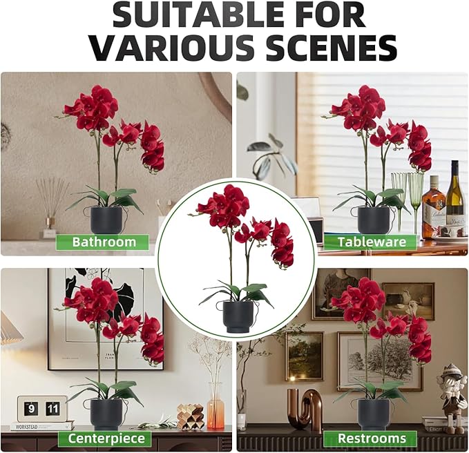 CXGS Orchids Artificial Flowers Real Touch Fake Flowers in Ceramic Pot 20" Red Faux Orchid Plant Lifelike Silk Phalaenopsis for Centerpiece Hotel Home Indoor Decor