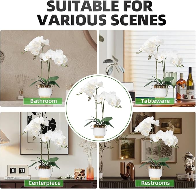 CXGS Orchids Artificial Flowers Real Touch Fake Flowers in Ceramic Pot 20" White Faux Orchid Plant Lifelike Silk Phalaenopsis for Centerpiece Hotel Home Indoor Decor