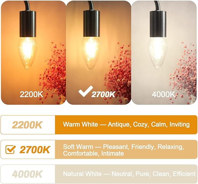 BRIMAX F15 4W Led Porch Light Bulbs Outdoor, Equivalent 40W Incandescent Bulb, E26 Medium Base Dimmable 2700K Warm White Flame Wrinkle Glass, LED Post Bulbs for Ceiling Fan and Lantern Lamp, 4Pack