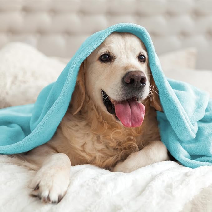 BEDELITE Fleece Blanket Light Blue Throw Blankets for Couch & Bed, Luxury Plush Cozy Fuzzy Blanket 50" x 60", Super Soft Warm Lightweight Throw Blanket for Travel Camping