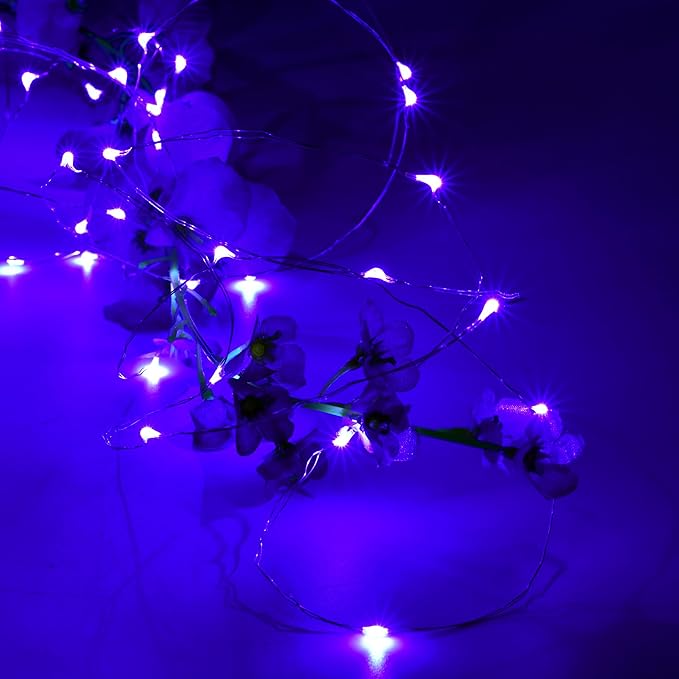 Karlling USB Plug in LED Fairy Lights,50 LED Bulbs 16 Ft Silver Wire Starry String Lights for Bedroom Patio Garden Party Wedding Commercial Lighting (Purple)