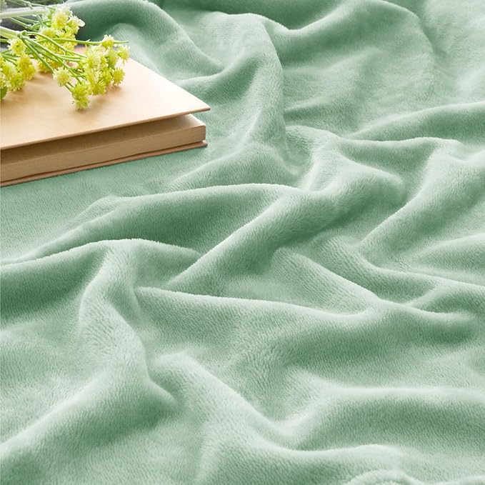 BEDELITE Throw Blanket for Couch and Bed - 300GSM Luxury Plush Cozy Fleece Blanket 50x60 Inches Mint Green, Soft Lightweight Blanket for Travel Camping