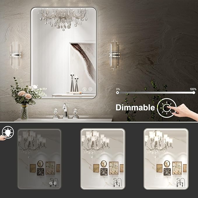 LED Bathroom Mirror with Lights,20x28 Inch Brushed Silver Framed Lighted Vanity Mirror,Anti Fog Stepless Dimmable Wall Mounted(Horizontal/Vertical)