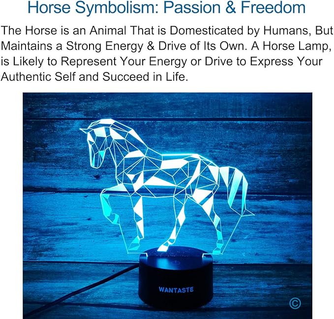 3D Horse Decor Lamp Gift with Remote, 7 Colors Changing Night Light Birthday Toys for Kids Girls Boys, Horse Lovers