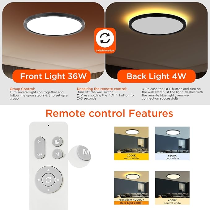 TALOYA Flush Mount Ceiling Light with Remote,3000K-6500K Adjustable,2000K Nightlight,12 Inch, Led Low Profile Ceiling Lights for Bedroom, Living Room, Kitchen, Black