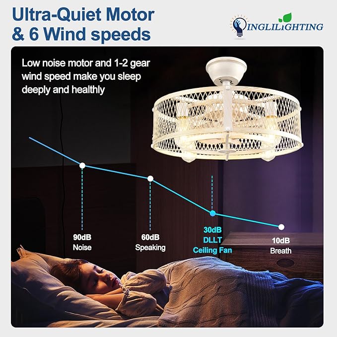 DLLT Caged Ceiling Fan with Lights: 20" Farmhouse Fandelier with Light and Remote - Cement Industrial Chandelier Fan Light for Bedroom Living Dining Room Kitchen