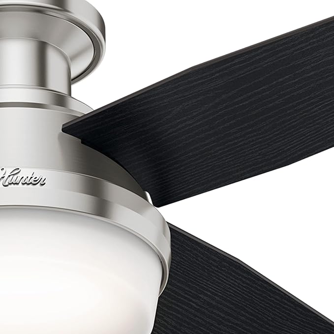 Hunter 44 inch Indoor Ceiling Fan with LED Light and Remote Control - Modern Ceiling Fan, Low Profile Mount, 4 Black Oak Blades, For Bedroom, Living Room, or Kitchen - Dempsey 59243, Brushed Nickel